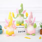 New Easter Faceless Gnome Spring Hanging Bunny Kids Gifts Decor 2023