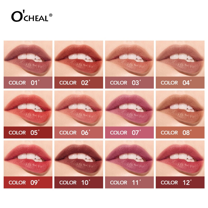 Dual Head 12 Colors Lip Gloss Long Lasting Moisture Lipstick