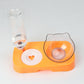 Pet Cat Bowl Automatic Feeder Food Drinking
